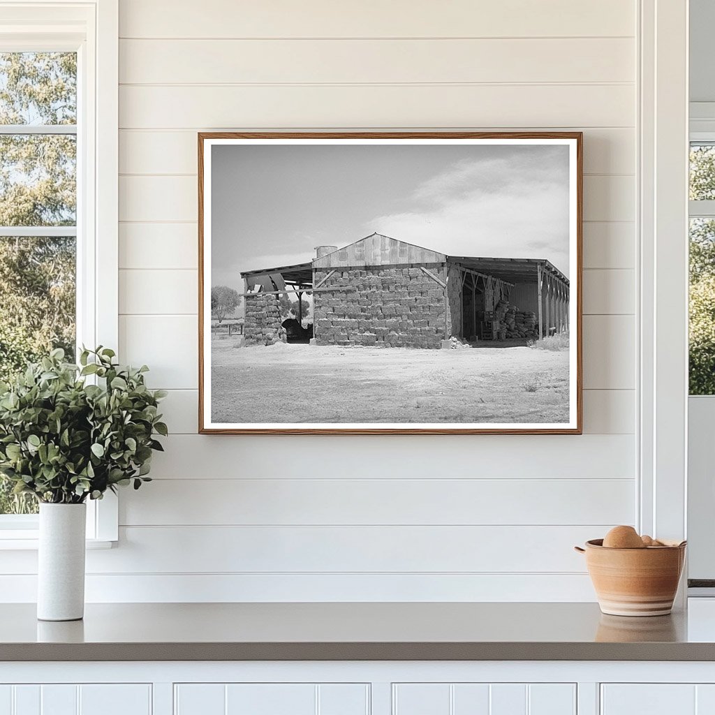 Baled Hay for Feed at Casa Grande Valley Farms 1940
