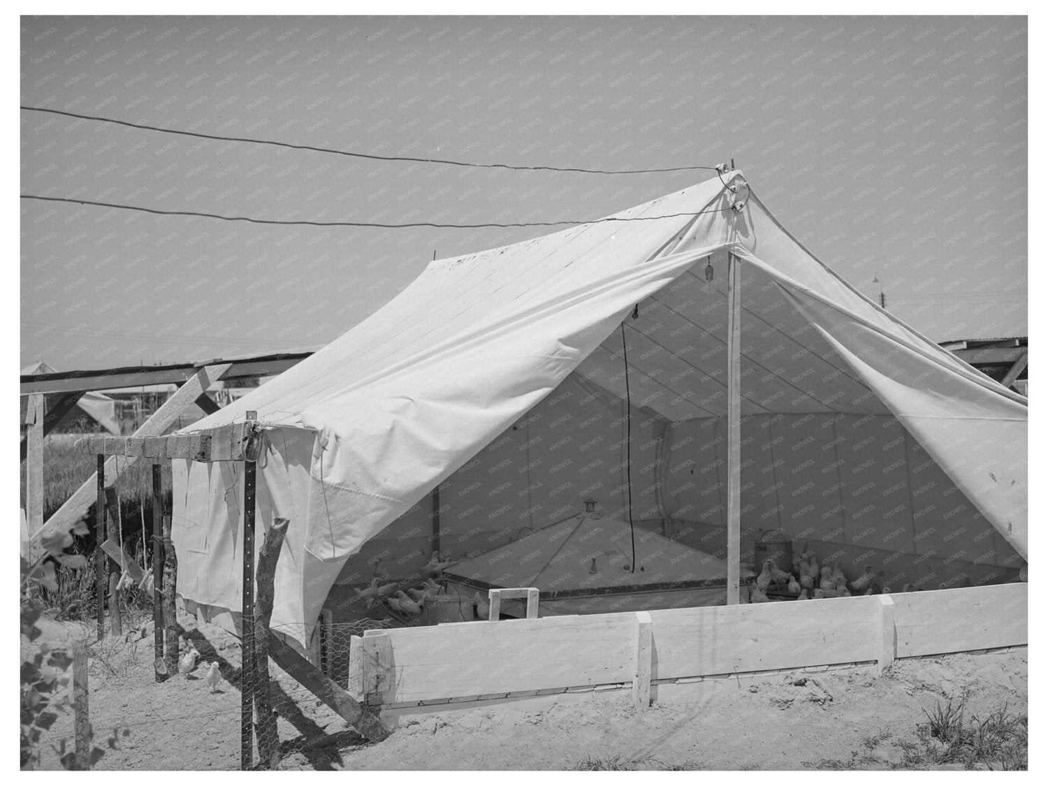 Breeder House for Chickens Casa Grande Valley Farms 1935-1942