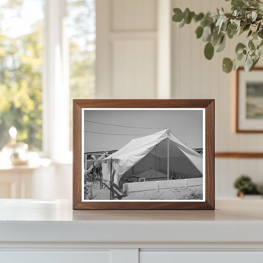 Breeder House for Chickens Casa Grande Valley Farms 1935-1942