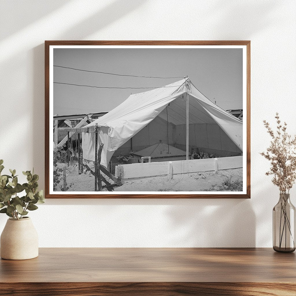 Breeder House for Chickens Casa Grande Valley Farms 1935-1942