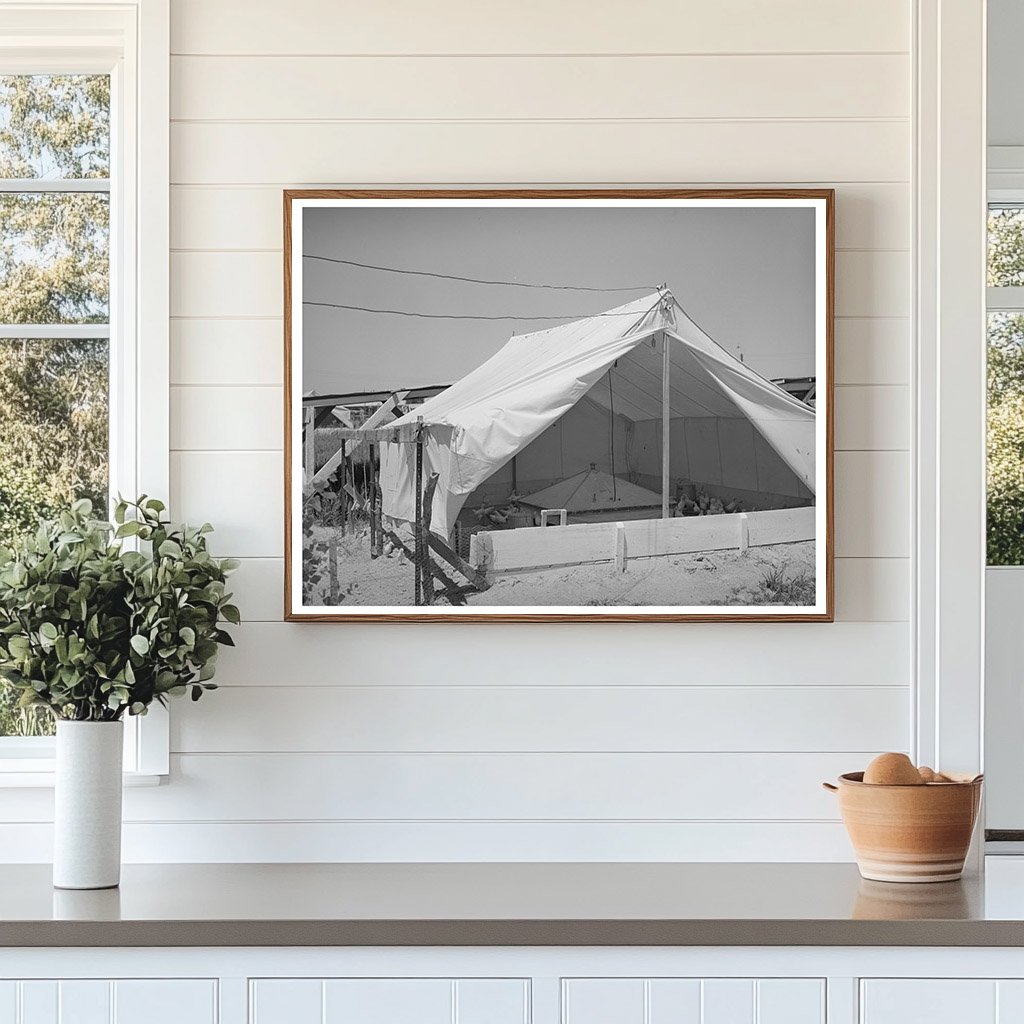 Breeder House for Chickens Casa Grande Valley Farms 1935-1942