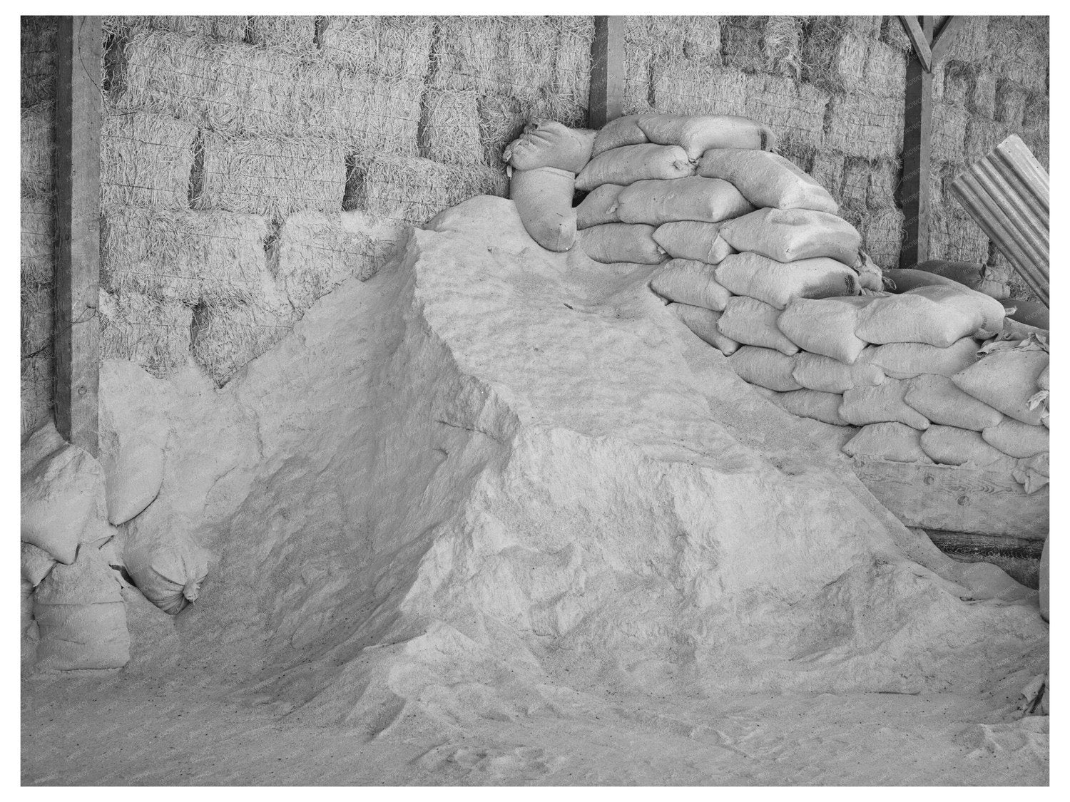 Casa Grande Valley Farms Feed Supplies May 1940