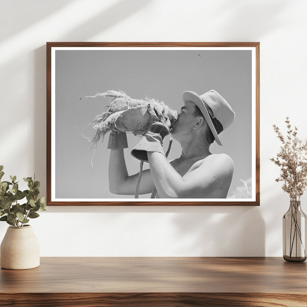 Man Drinking Water in Hay Field Casa Grande Valley 1940
