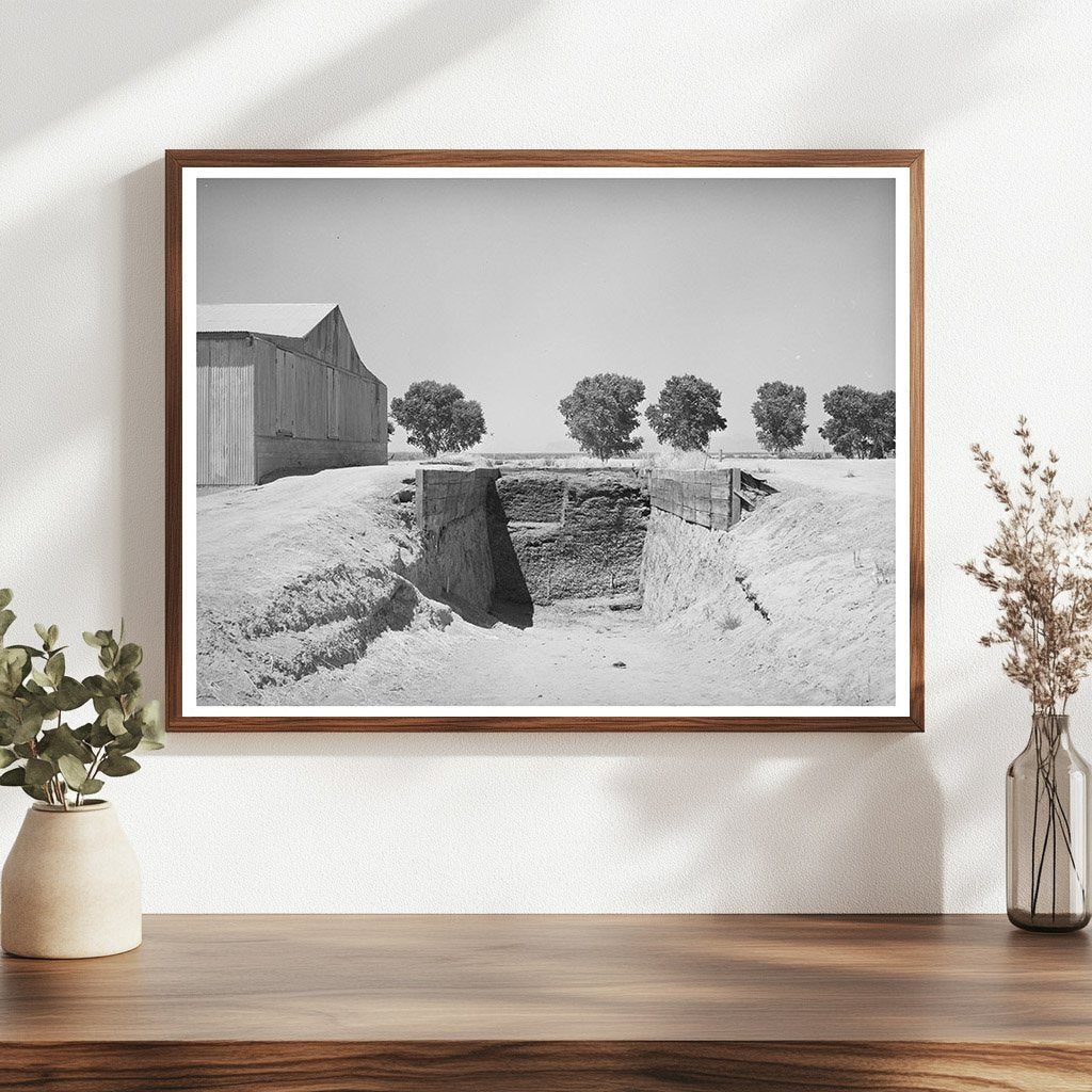Trench Silo for Cattle Feed Casa Grande Valley Farms 1940
