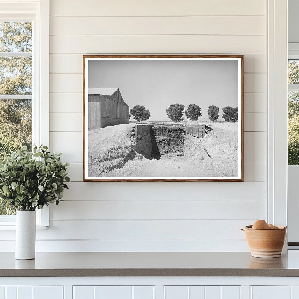 Trench Silo for Cattle Feed Casa Grande Valley Farms 1940