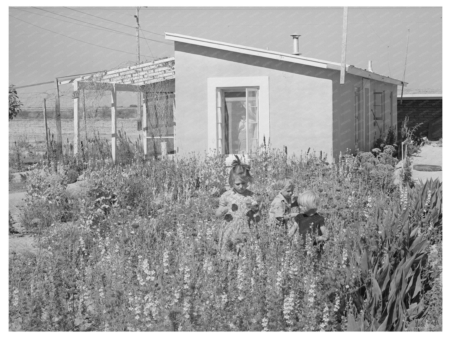 Children Picking Flowers in Casa Grande Valley Farms 1940