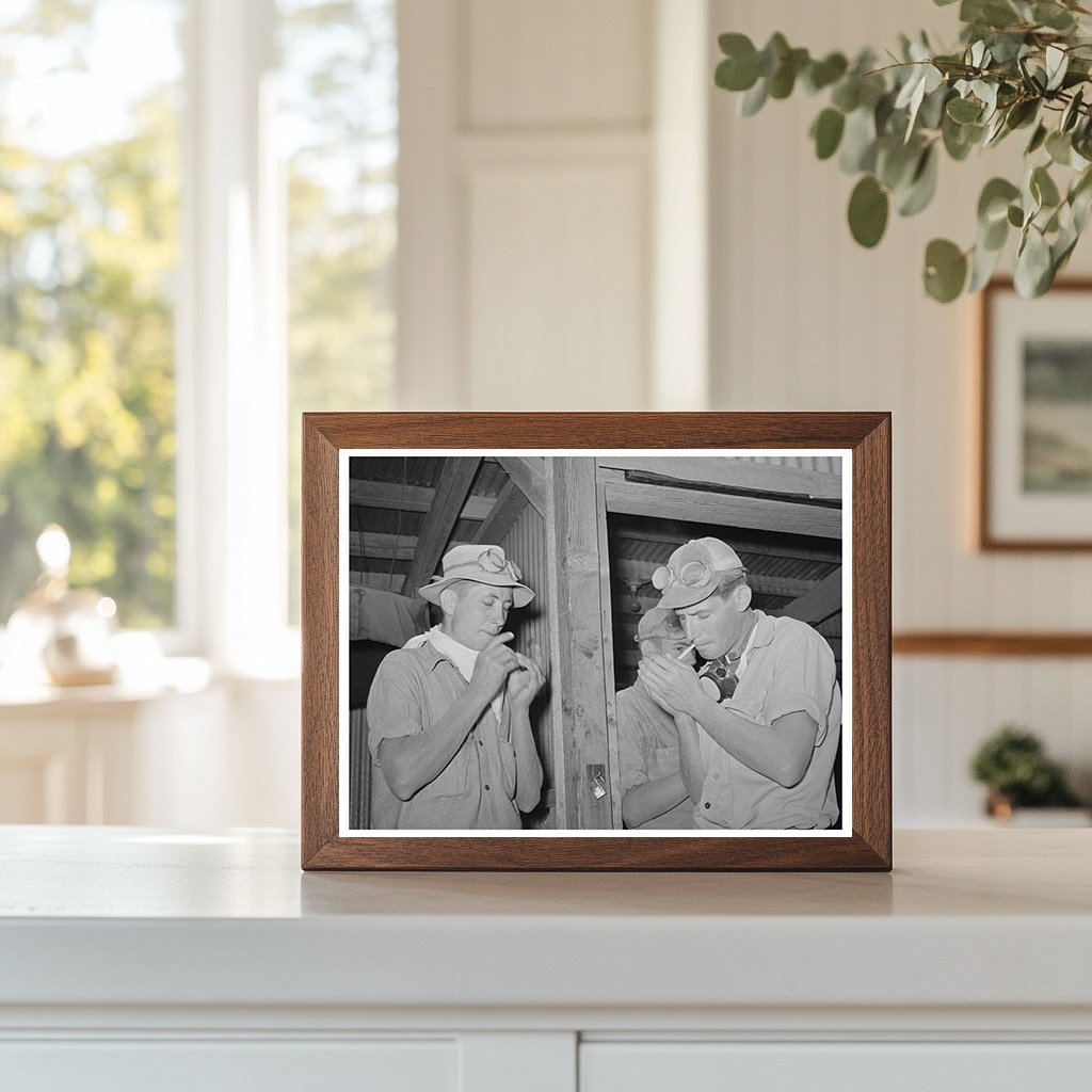 Hay Gathering Machine Workers in Casa Grande Valley 1940