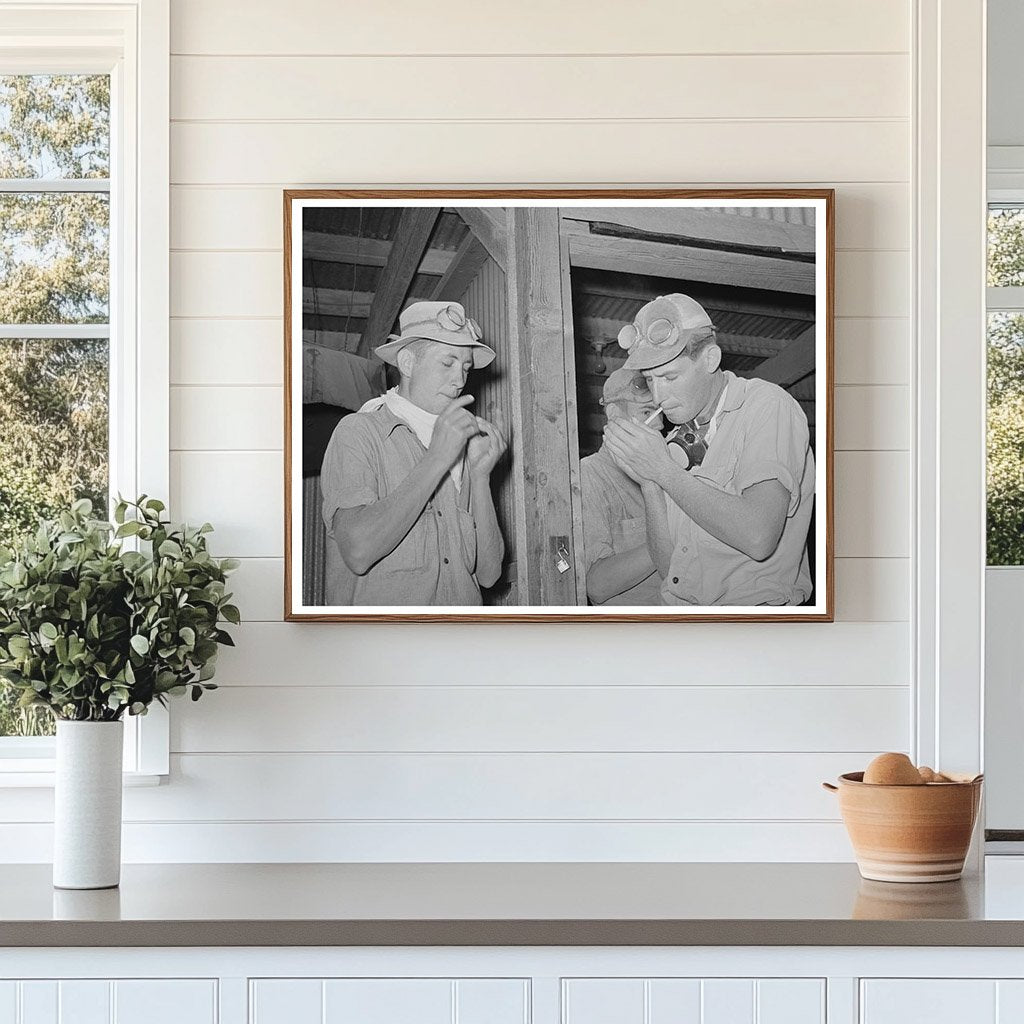 Hay Gathering Machine Workers in Casa Grande Valley 1940