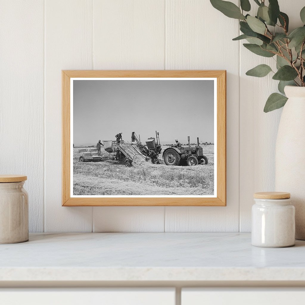Hay Picker-Up and Chopper Casa Grande Valley Farms 1940