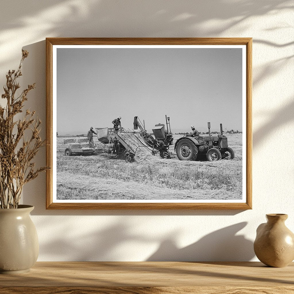 Hay Picker-Up and Chopper Casa Grande Valley Farms 1940