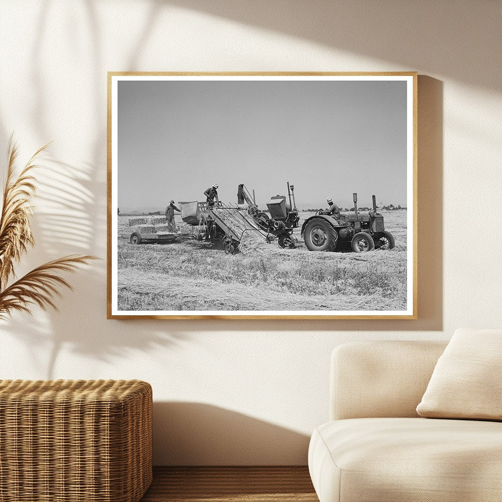 Hay Picker-Up and Chopper Casa Grande Valley Farms 1940