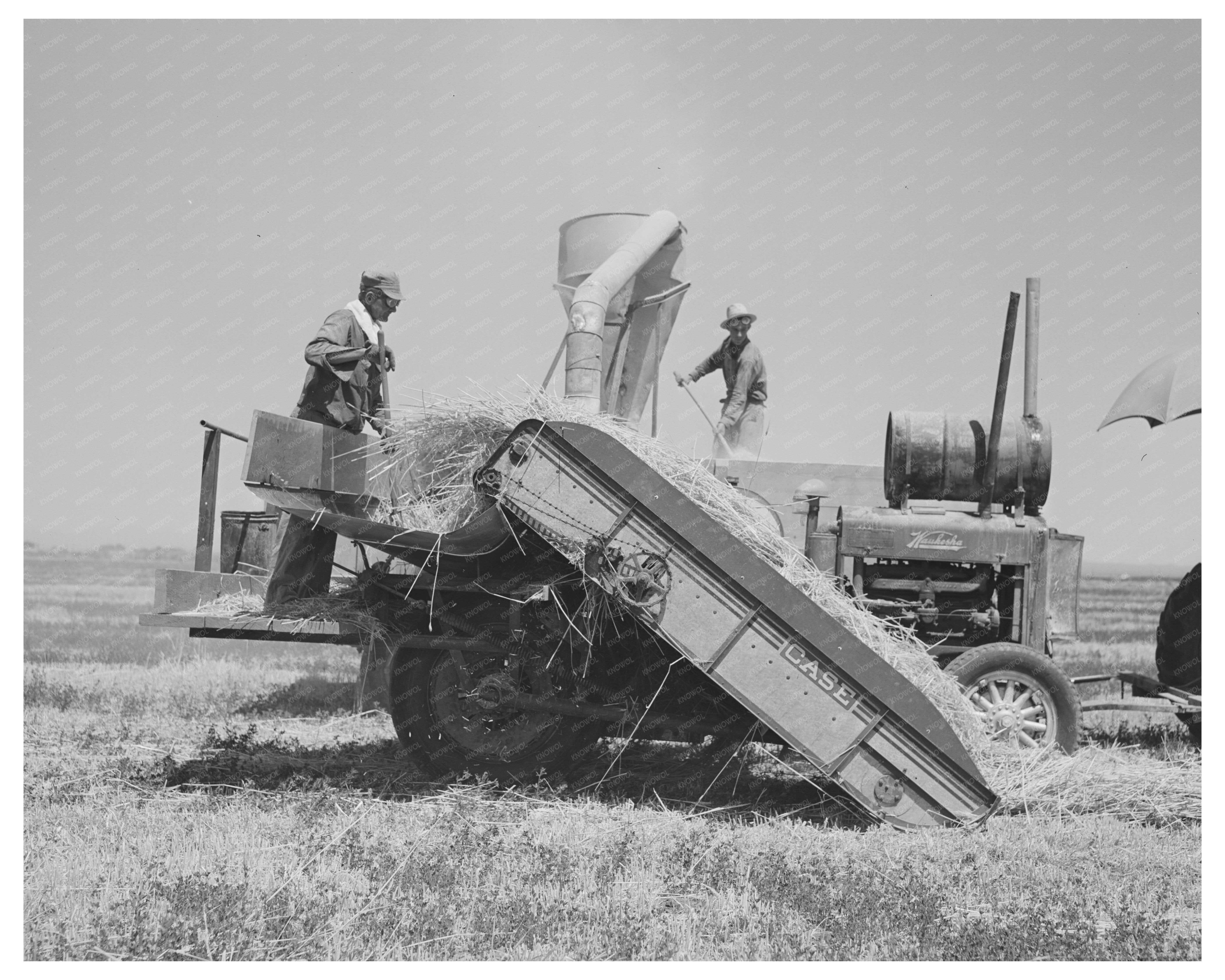 Hay Machine in Operation at Casa Grande Valley Farms 1940