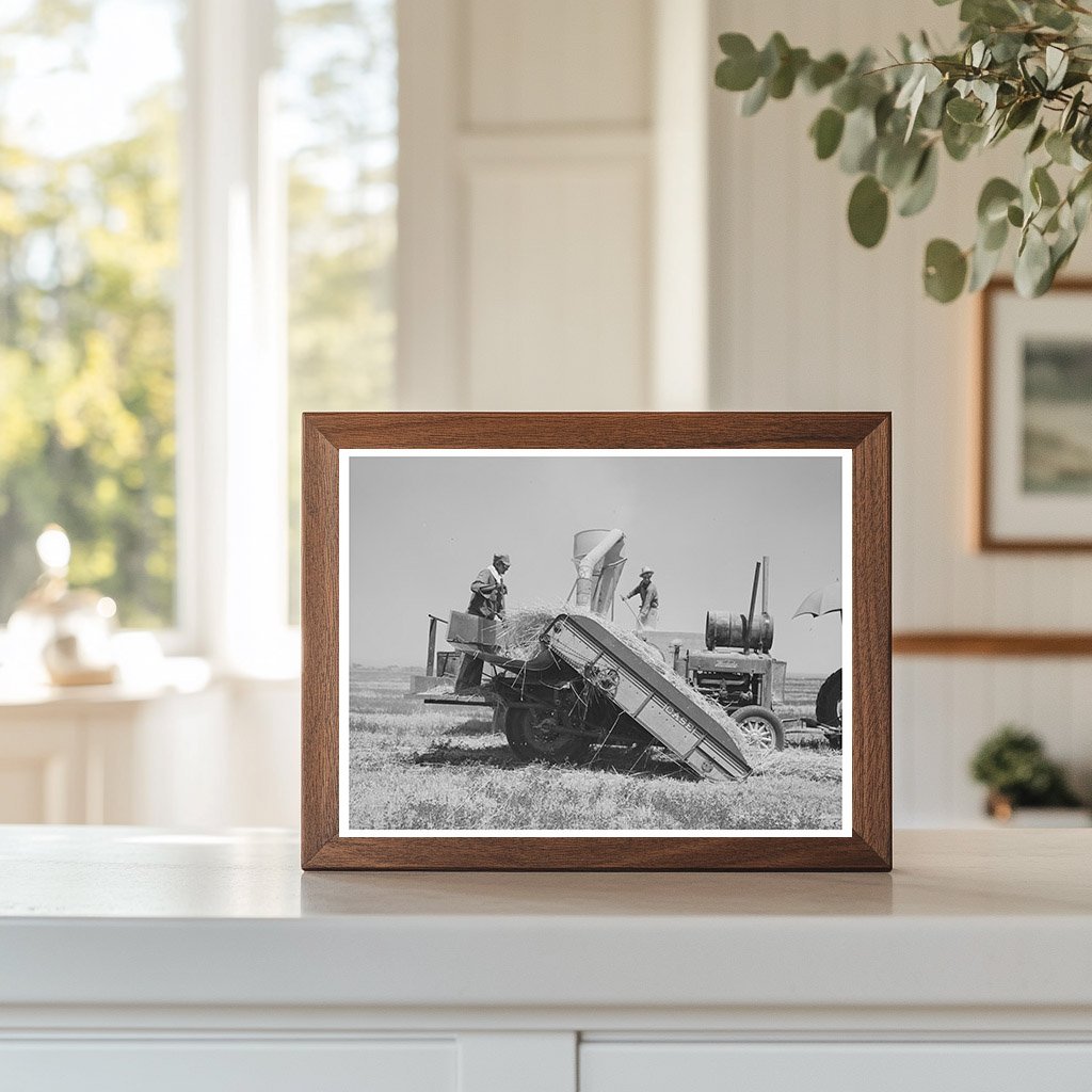 Hay Machine Operation Casa Grande Valley Farms 1940