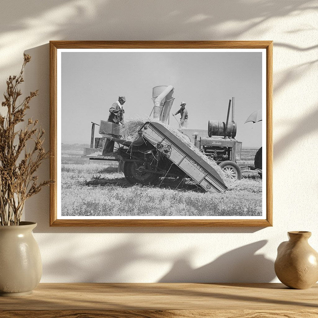 Hay Machine in Operation at Casa Grande Valley Farms 1940
