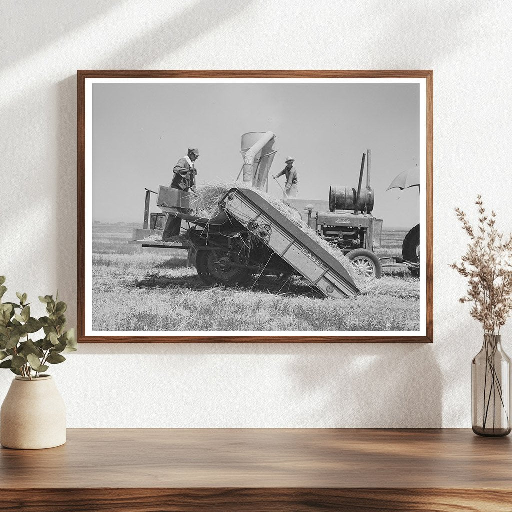 Hay Machine Operation Casa Grande Valley Farms 1940