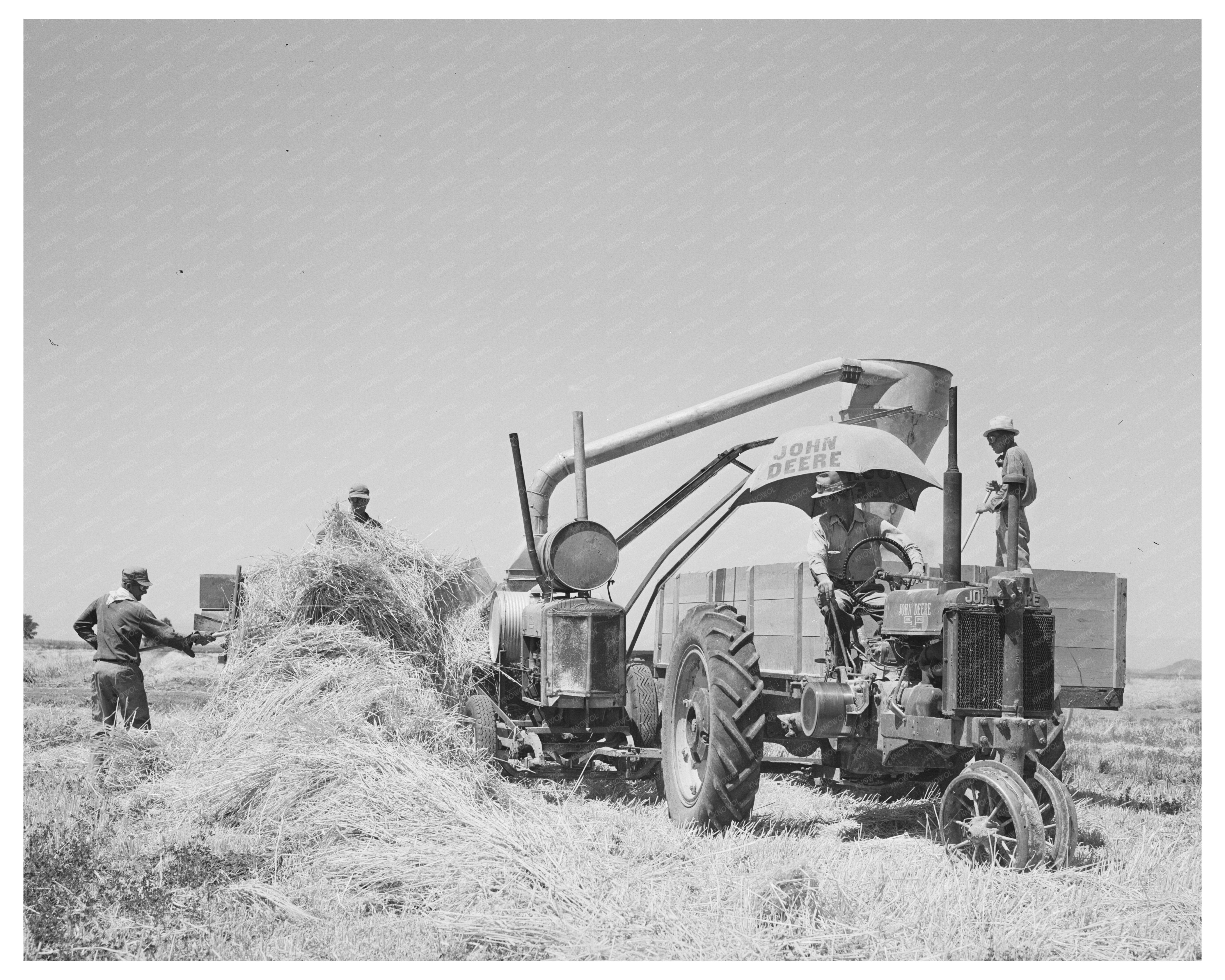 Hay Machine at Casa Grande Valley Farms Arizona May 1940