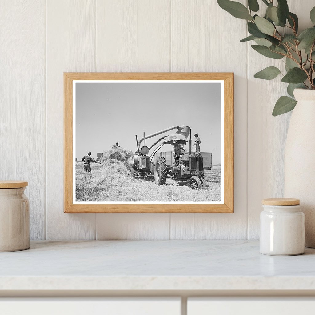 Hay Machine at Casa Grande Valley Farms Arizona May 1940