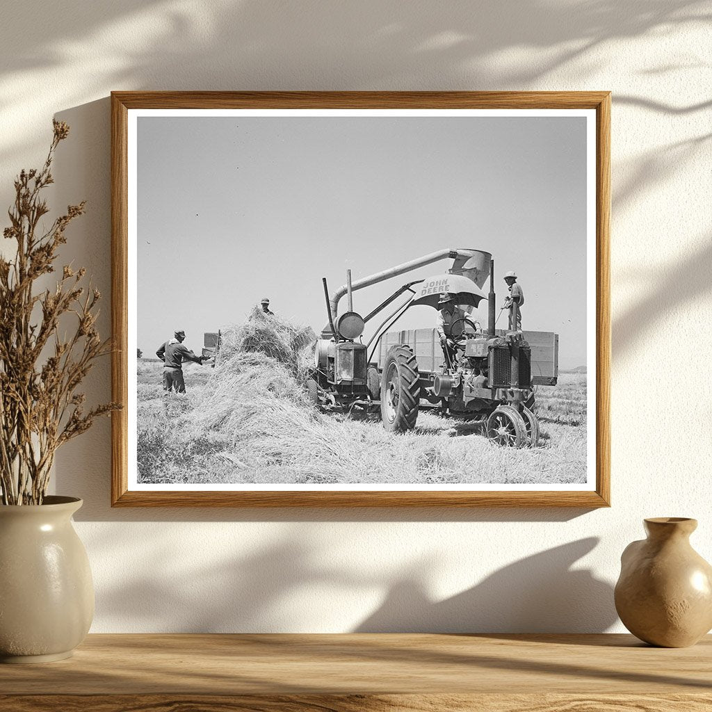 Hay Machine at Casa Grande Valley Farms Arizona May 1940