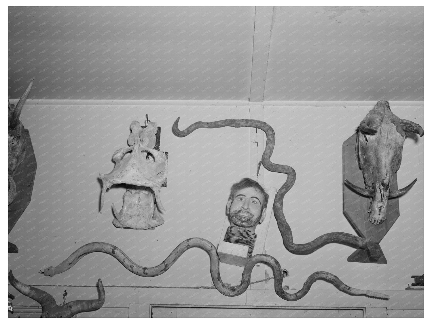 Homer Tate Work in Safford Arizona May 1940