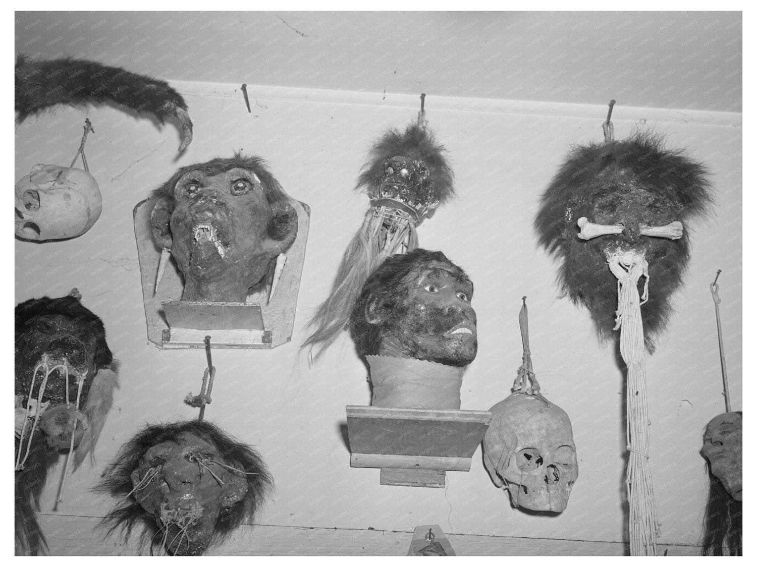 Homer Tate Heads Art from Safford Arizona May 1940