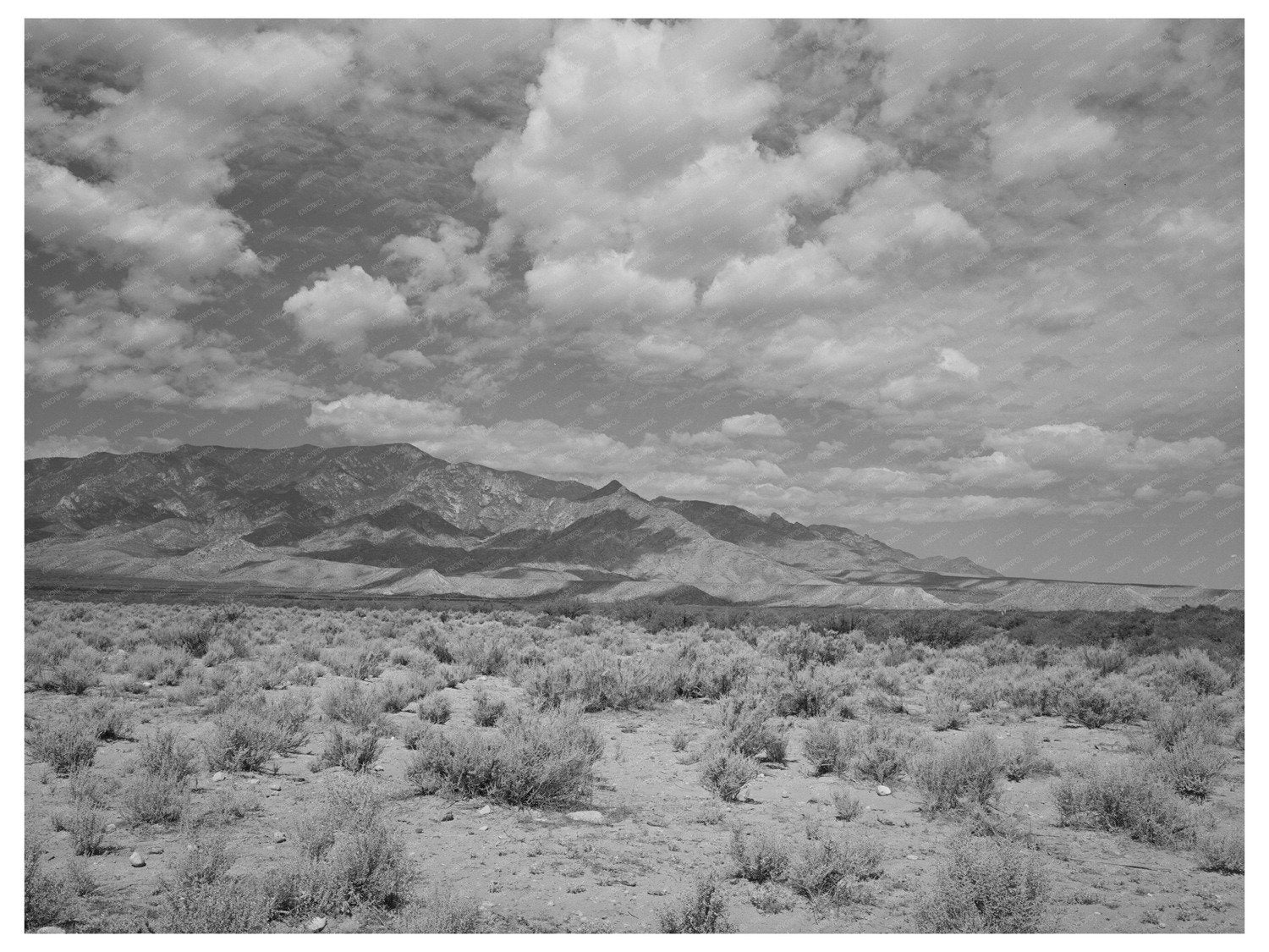 Cochise County Arizona Landscape Sagebrush Mountains 1940