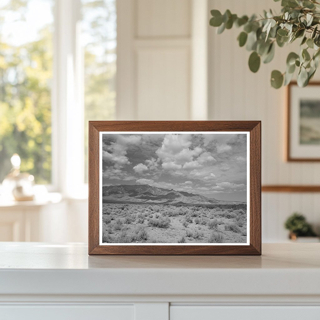 Cochise County Arizona Landscape Sagebrush Mountains 1940
