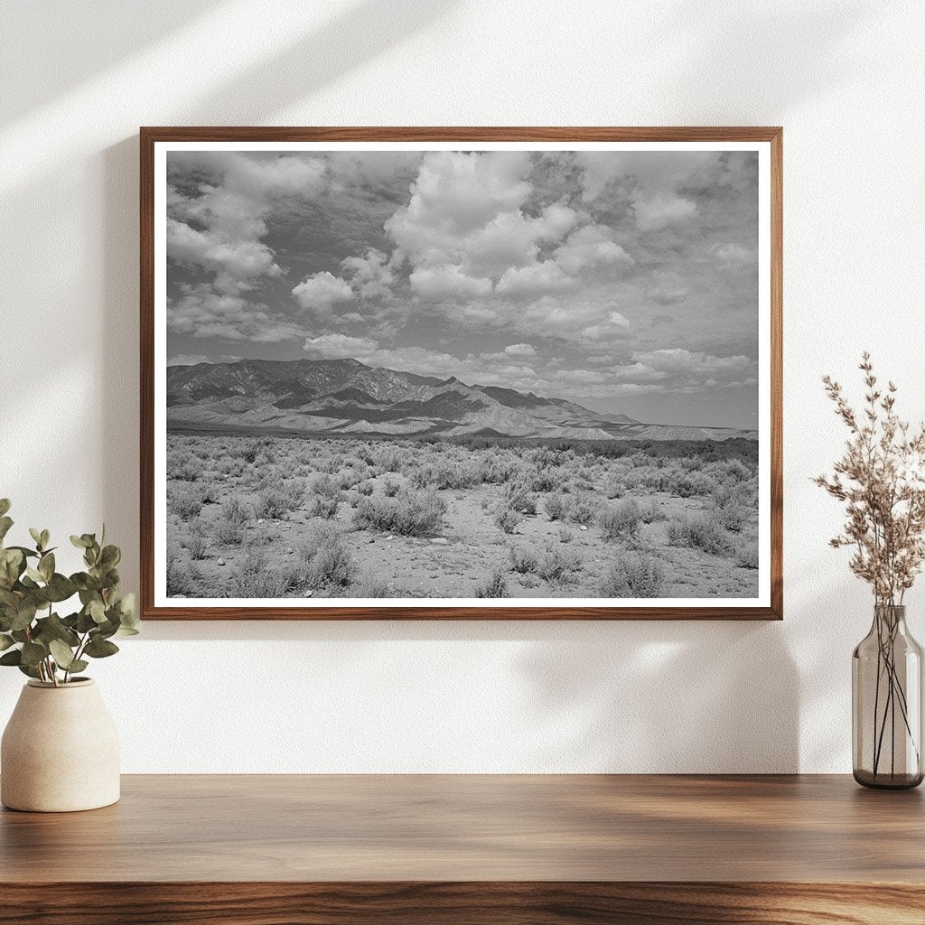 Cochise County Arizona Landscape Sagebrush Mountains 1940