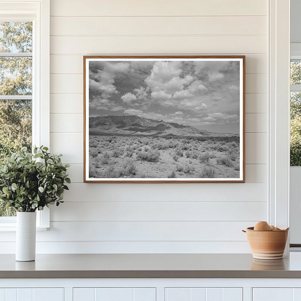 Cochise County Arizona Landscape Sagebrush Mountains 1940