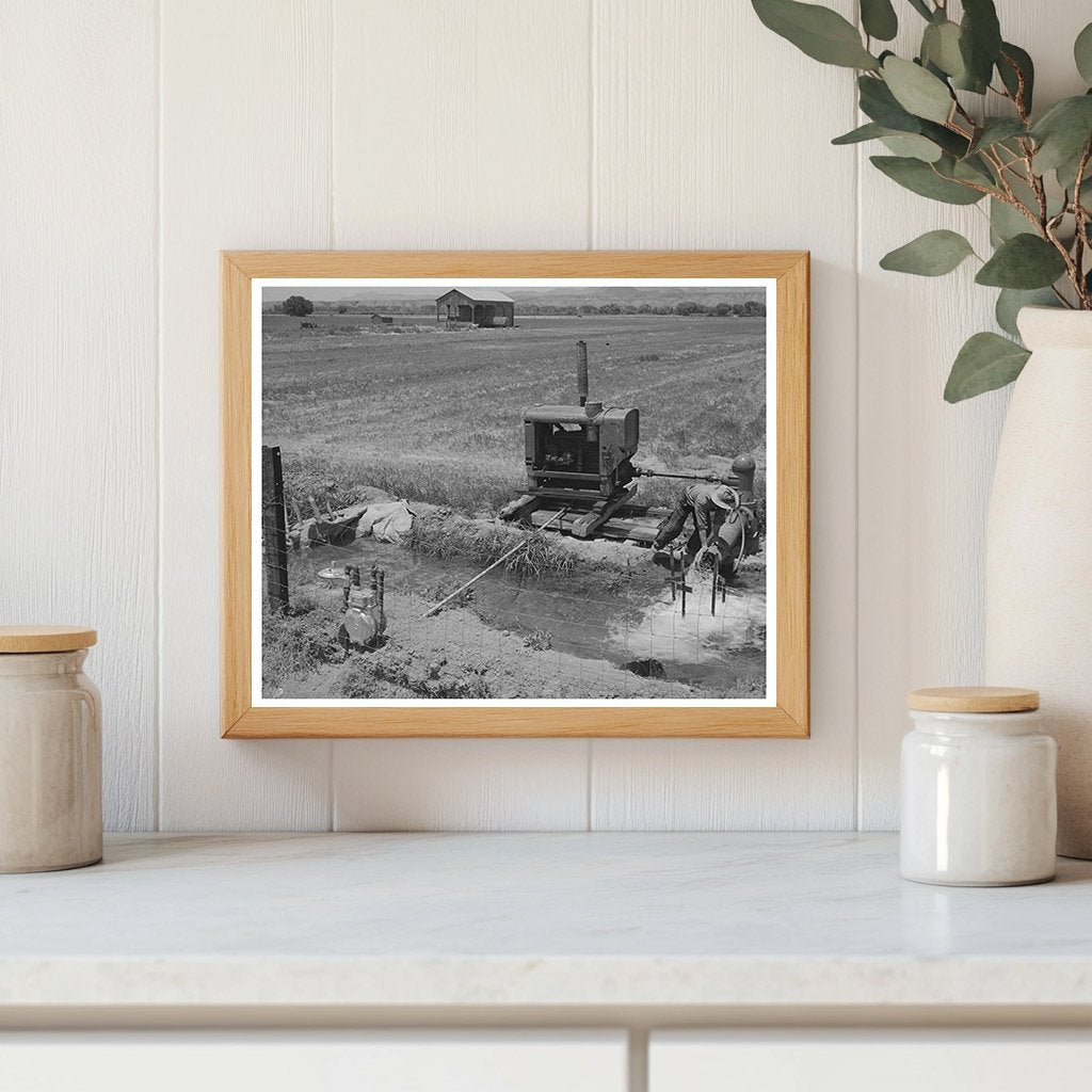 Irrigation in Solomonsville Arizona May 1940