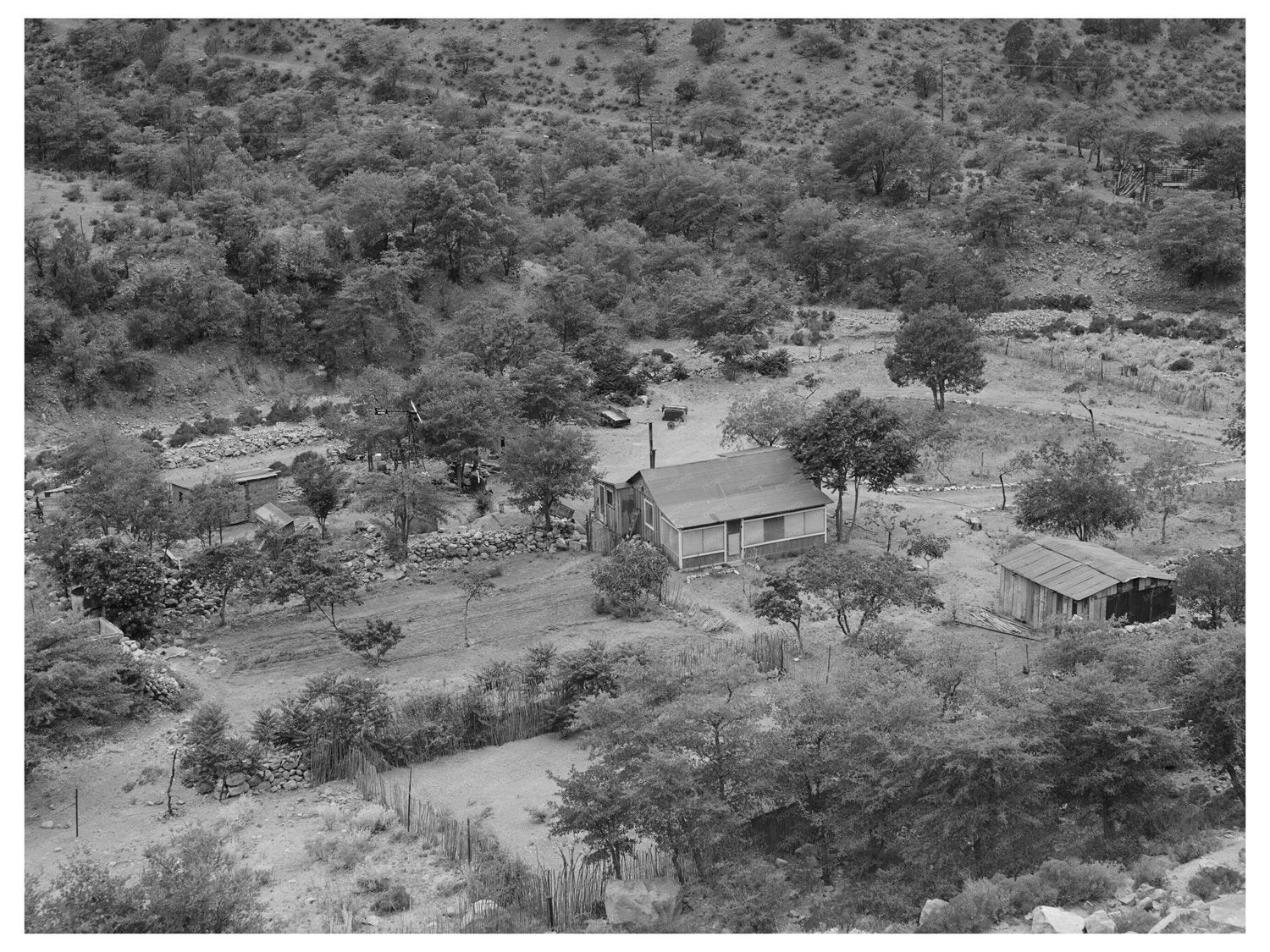 Cochise County Arizona Ranch May 1940 Agricultural Landscape