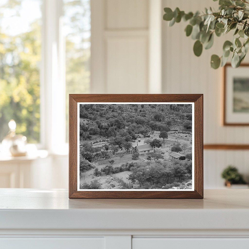 Cochise County Arizona Ranch May 1940 Agricultural Landscape