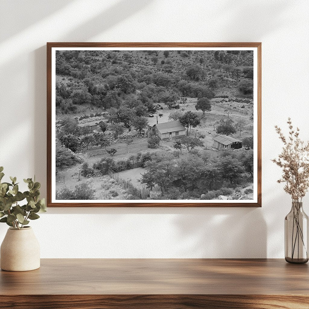 Cochise County Arizona Ranch May 1940 Agricultural Landscape