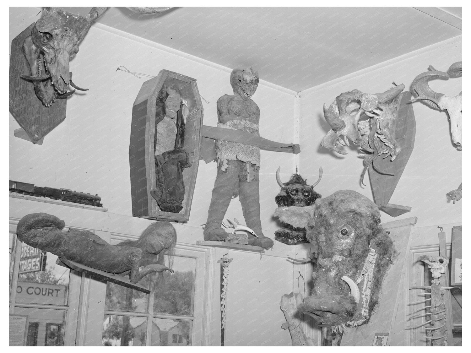 Homer Tate Mummies and Heads Artworks 1940 May