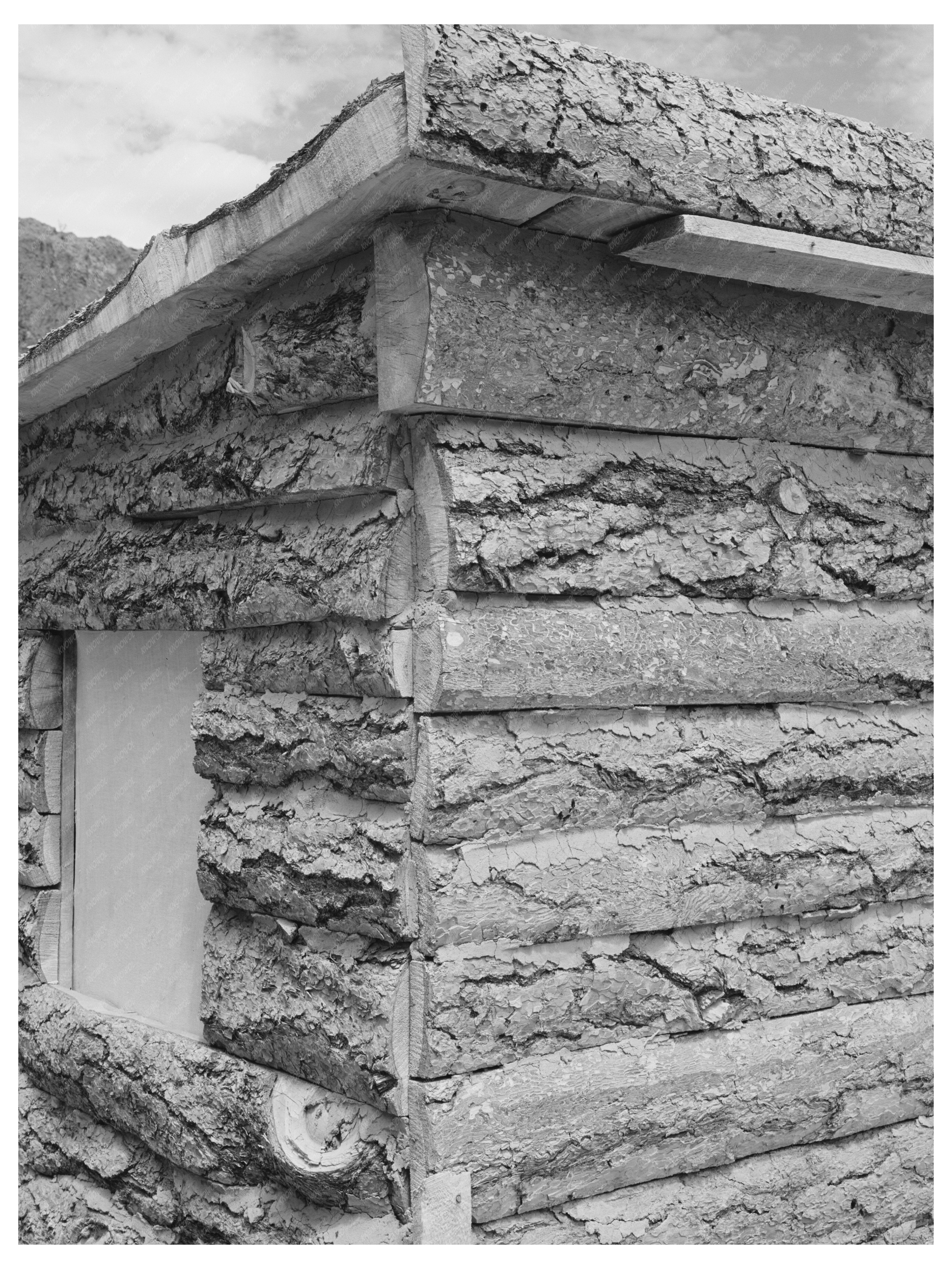 Pie Town New Mexico Slab House Detail May 1940