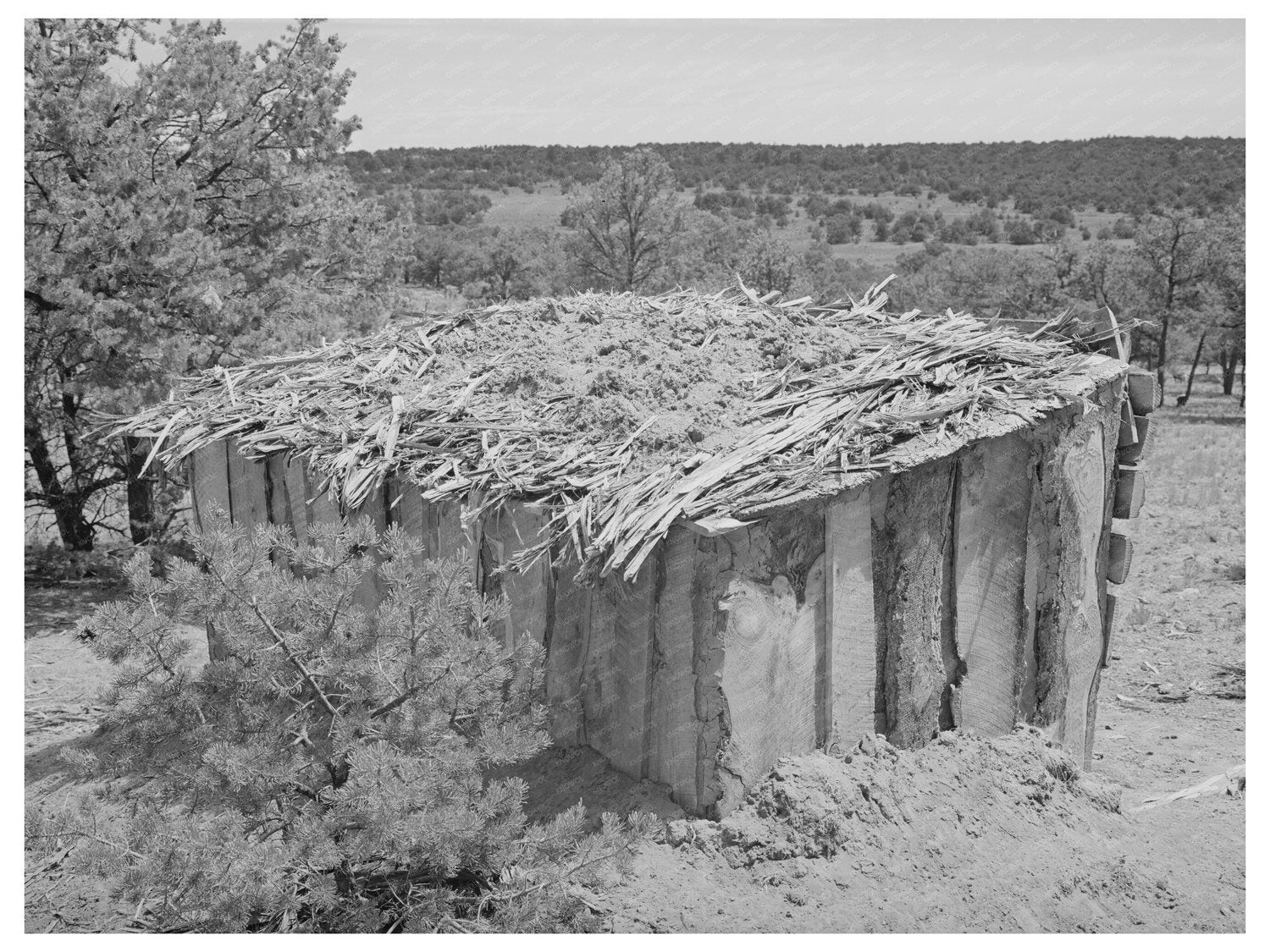 Vintage Shed in Pie Town New Mexico May 1940