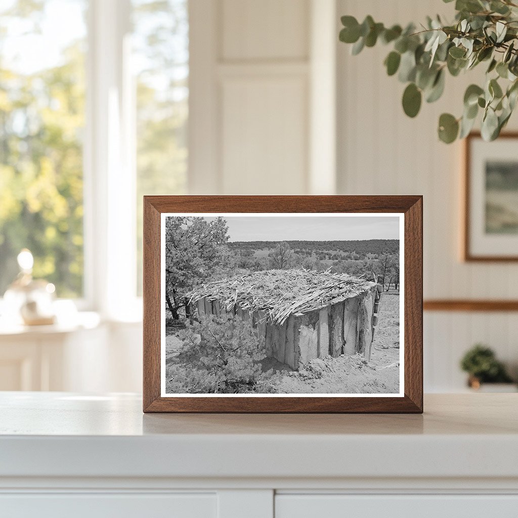 Vintage Shed in Pie Town New Mexico May 1940