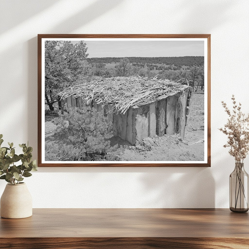 Vintage Shed in Pie Town New Mexico May 1940