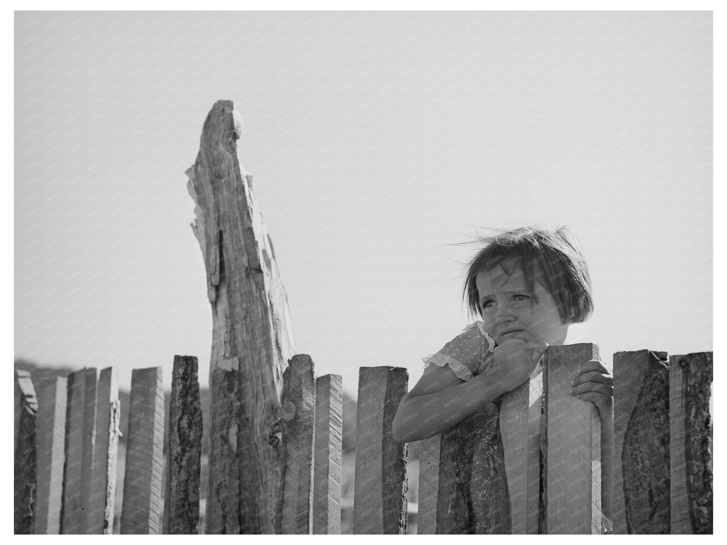 Josie Caudill at Farm Fence Pie Town New Mexico 1940