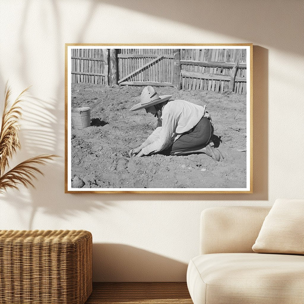 Mrs. Faro Caudill Cultivating Cabbage in Pie Town 1940