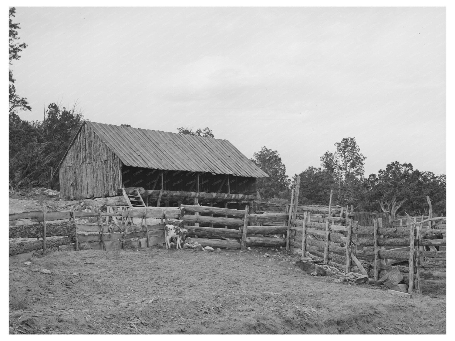 Vintage 1940 Homesteader Barn in Pie Town New Mexico