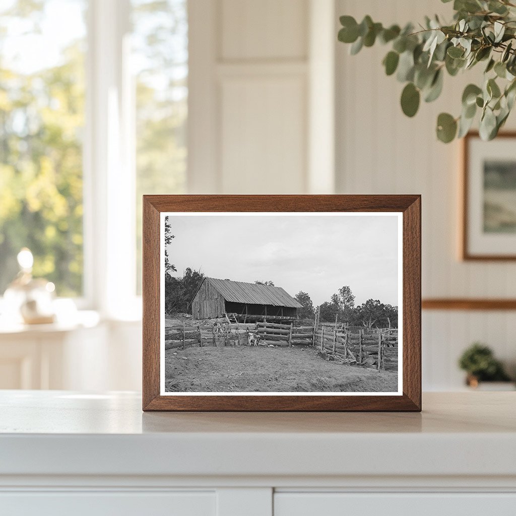 Vintage 1940 Homesteader Barn in Pie Town New Mexico