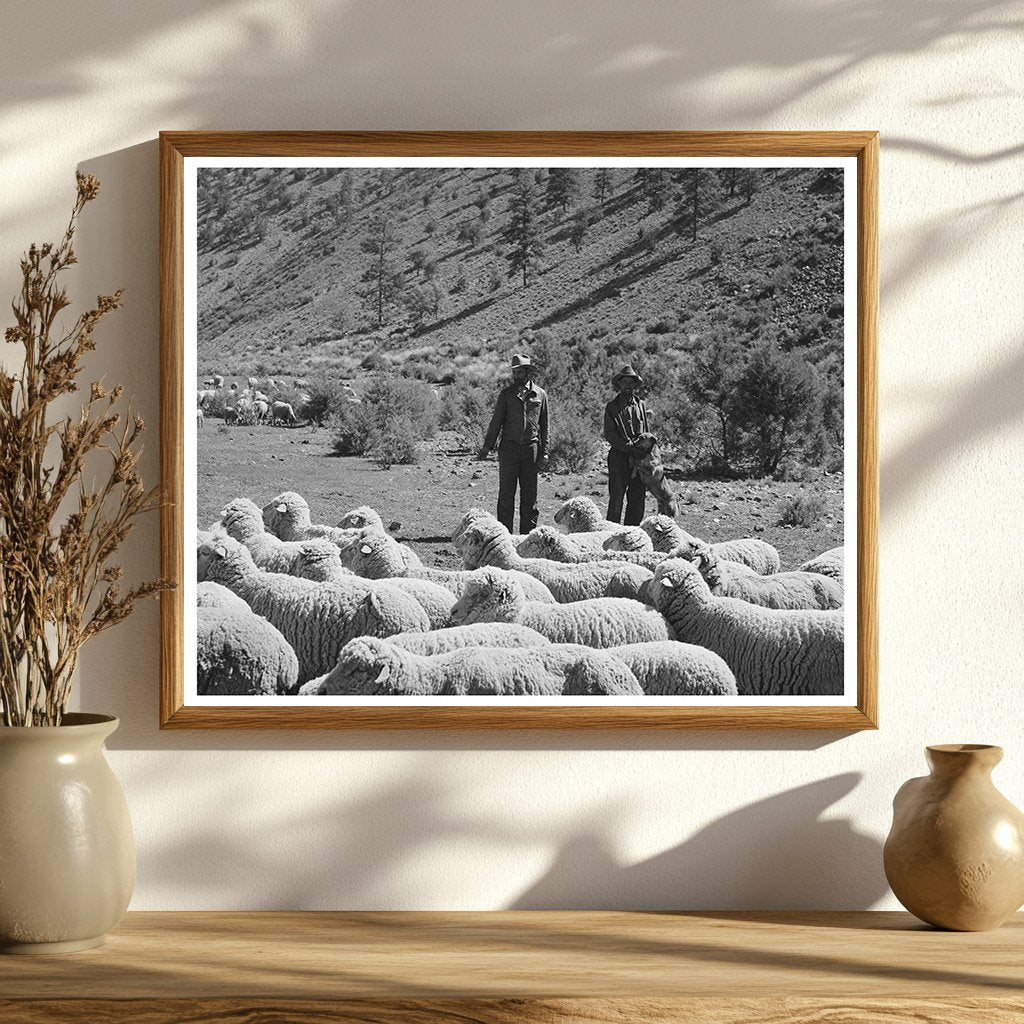 Rancher and Sheep Herder in Catron County 1940