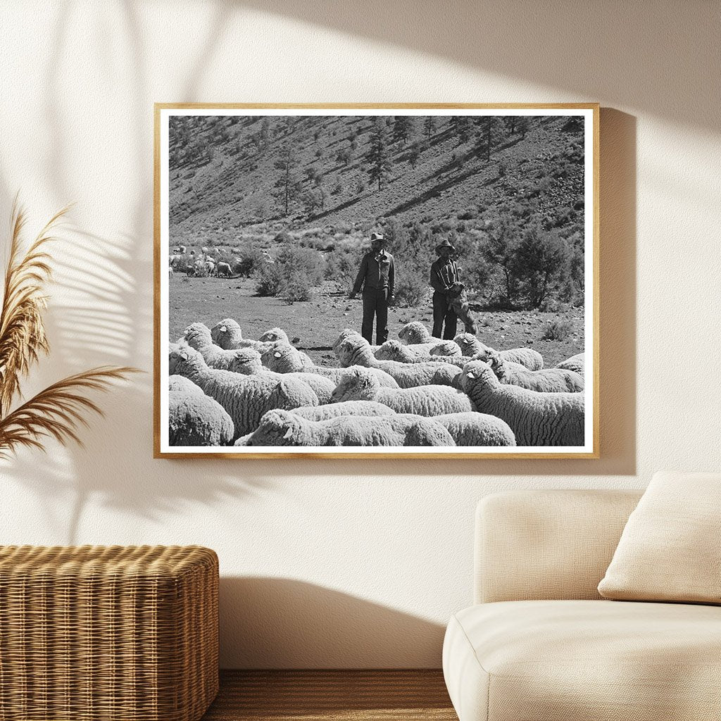 Rancher and Sheep Herder in Catron County 1940