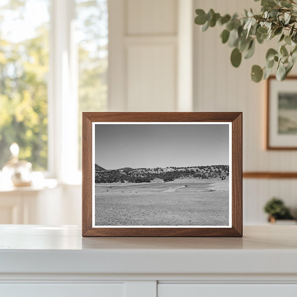 1940 Farming Scene in Pie Town New Mexico