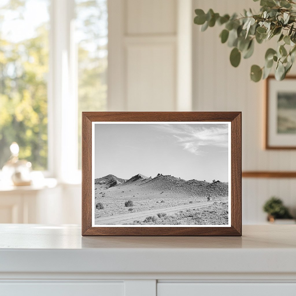 Dike near Pie Town New Mexico June 1940