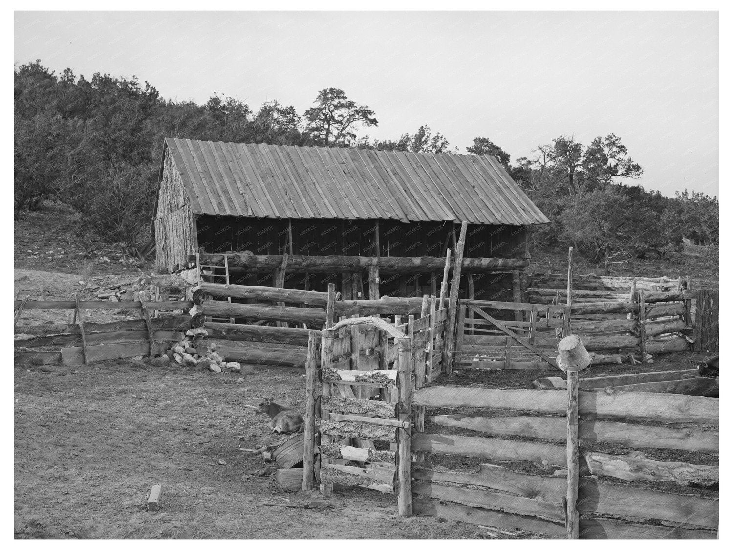 1940 Vintage Farm Fence Gate Barn in Pie Town New Mexico
