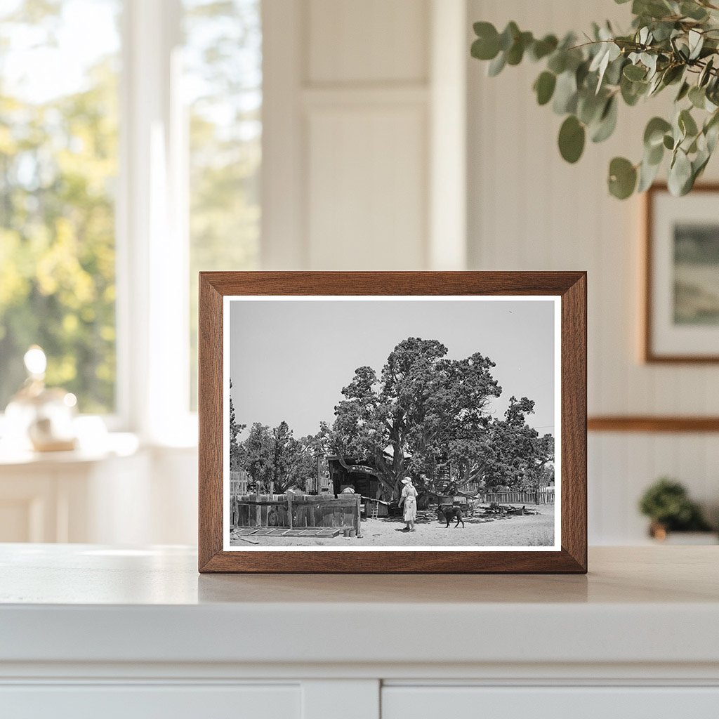 Hutton Farm Seed Bed in Pie Town New Mexico 1940