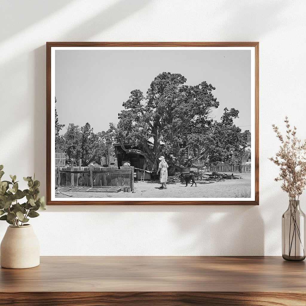 Hutton Farm Seed Bed in Pie Town New Mexico 1940