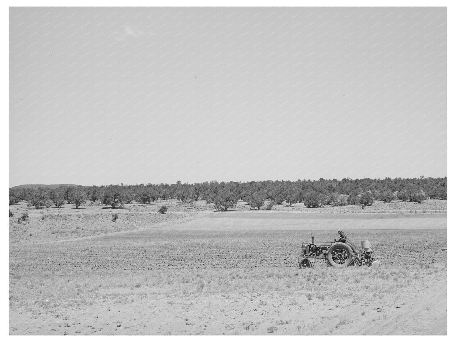 Planting Beans with Tractor in Pie Town New Mexico 1940