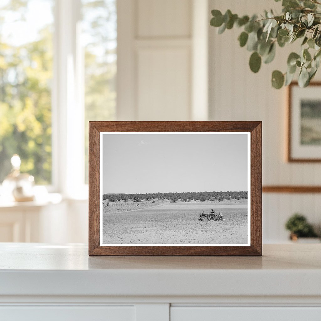 Planting Beans with Tractor in Pie Town New Mexico 1940